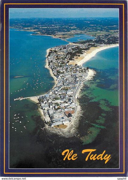CPSM Couleurs de Bretagne L'Ile Tudy (Finistere) Vue generale de la presqu'ile