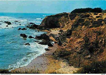 Carte Postale - 85 - Bretignolles sur Mer - Les Rochers du Tré-Neuf - CPM - Voir Scans Recto-Verso - Poscard - Carta Pos