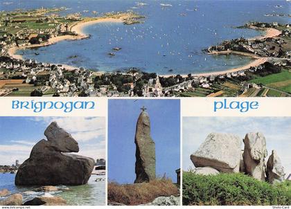 29 BRIGNOGAN PLAGE PLAGE DES CHARDONS BLEUS