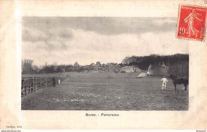 BURES sur YVETTE - Panorama