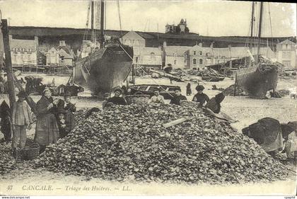 REPRO Cancale Triage des Huitres