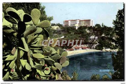 CPA Cap d'ail La plage Mala et l'Eden