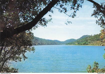 83 CARCES LE LAC DE CARCES