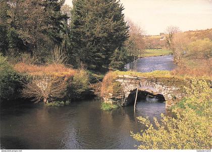 29 CARHAIX PLOUGUER LE VIEUX PONT ROMAIN
