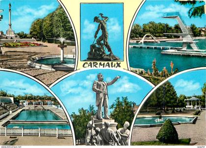 CPM Carmaux Piscine