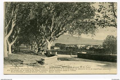 CPA - Carte Postale - France - Carpentras - La Promenade des Platanes ( CP4566 )