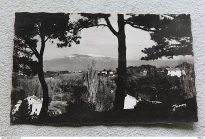 Cpsm, Carpentras, vue sur le mont Ventoux, Vaucluse 84
