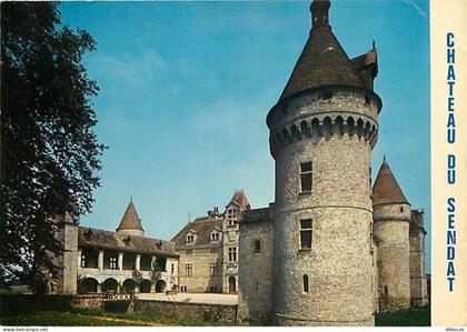 47 - Casteljaloux - Château du Sendat - CPM - Voir Scans Recto-Verso