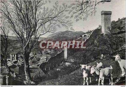 CPM Castellane Bassees Alpes sur la route Napoleon station estivale Chevres