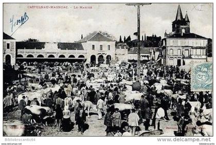 Cpa Précurseur - D65 < CASTELNAU-MAGNOAC - Vue Animée du MARCHE