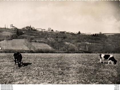 1 cpsm Castelnau rivière basse - vue générale