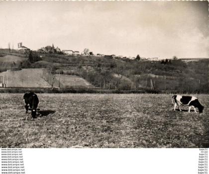 1 cpsm Castelnau rivière basse - vue générale
