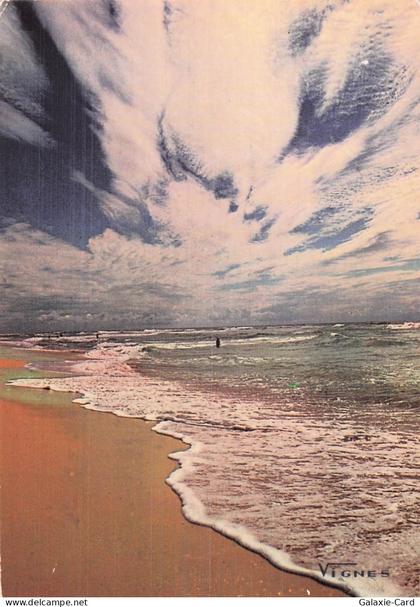 40 CASTETS COTE LANDAISE