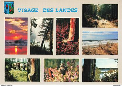 40 CASTETS VISAGE DES LANDES