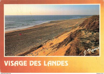 40 CASTETS VISAGE DES LANDES