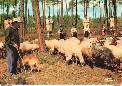 40 CASTETS VISAGE DES LANDES