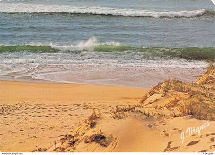 40 CASTETS VISAGE DES LANDES