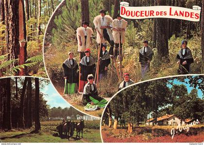 40 CASTETS VISAGES DES LANDES