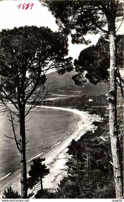 CPM Environs de Cavalaire sur Mer La plage de PArdigon