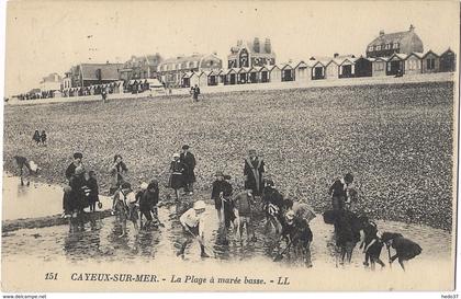 Cayeux-sur-Mer - La plage à marée basse