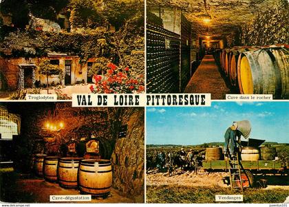 CPSM Val de Loire-Multivues    L873