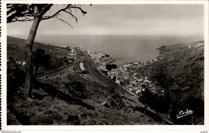 Cerbere - Vue Panoramique - CPA