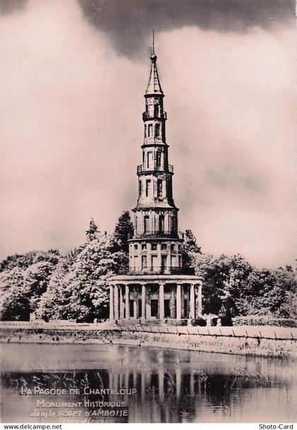 78 CHANTELOUP LES VIGNES PAGODE DE CHANTELOUP