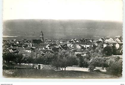 CHANTELOUP LES VIGNES - Vue Générale