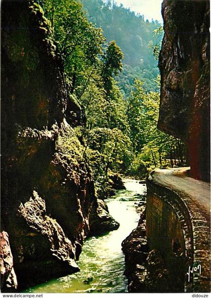 Carte Postale - 38 - Saint Pierre de Chartreuse - Monastère de la Grande Chartreuse - Route de la Grande-Chartreuse - En