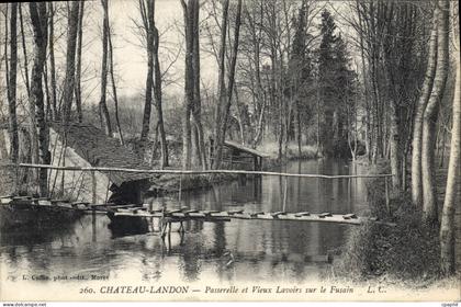 CPA Chateau Landon Passerelle et Vieux Lavoirs sur le Fusain