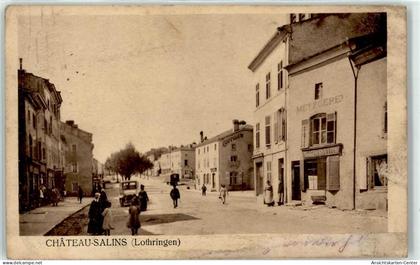 51637517 - Chateau-Salins