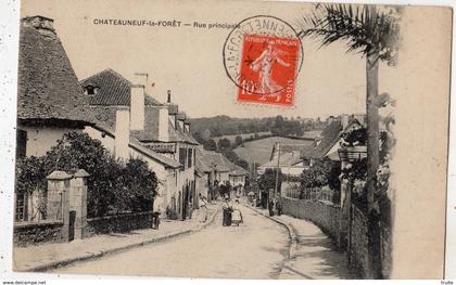 CHATEAUNEUF-LA-FORET RUE PRINCIPALE