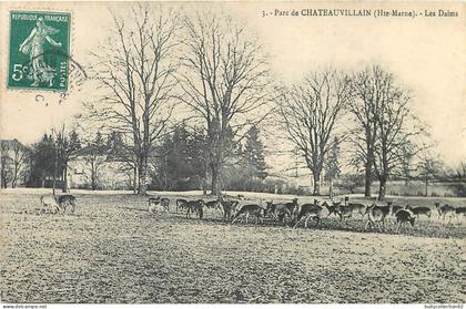 CPA Chateauvillain  52/45