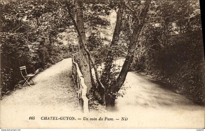 CPA Chatel Guyon Un Coin du Parc