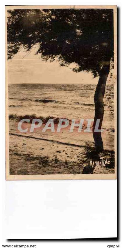 CPA Sous les Tamaris Chatelaillon plage