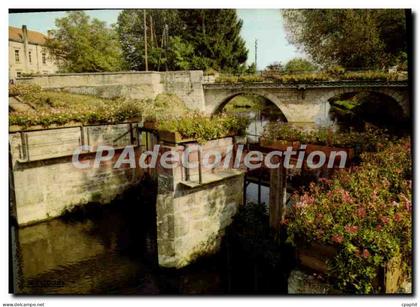 CPA Chatillon sur Chalaronne les rives fleuries de la Chalaronne