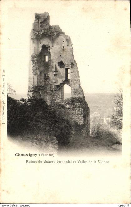 CPA Chauvigny Ruines du Chateau baronnial et Vallee de la Vienne
