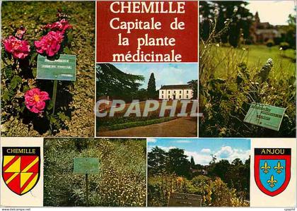 CPM Chemille Maine et Loire