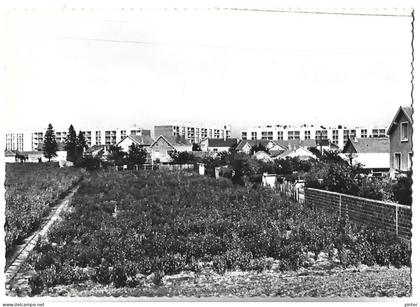 CHEVILLY LARUE - Rue Petit Leroy