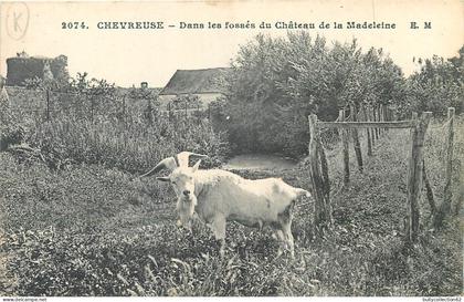 CPA Chevreuse  78/124