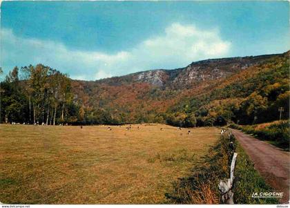 Carte Postale - 14 - Clécy - Site agréable près de Clécy - La Suisse Normande - CPM - Voir Scans Recto-Verso - Poscard -