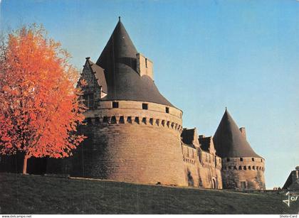56 CLEGUEREC CHATEAU DE ROHAN