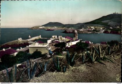 CPSM Collioure Vue Generale