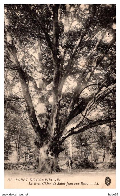 Forêt de Compiègne