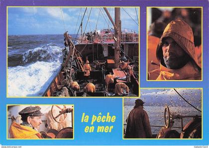 59 COUDEKERQUE BRANCHE CHATEAU DES CHATS