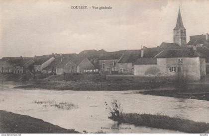 COUSSEY : (88) Vue générale