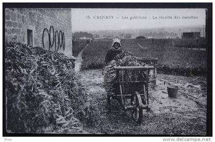 78 Croissy-sur-Seine 15. CROISSY Les gabillons - La récolte des carottes legume carott  D78D  K78146K  C78190C RH016035