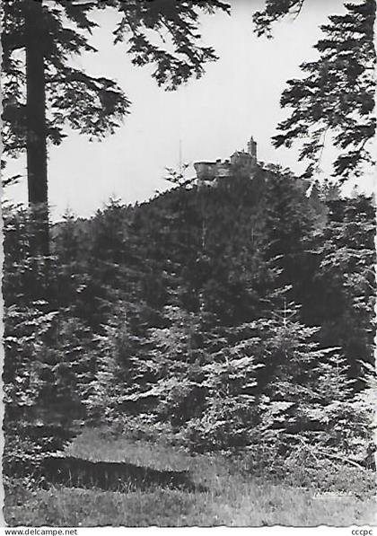 CPSM Dabo le Rocher vu de la Hoube