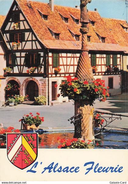 67 DAMBACH LA VILLE DAMBACH LA VILLE