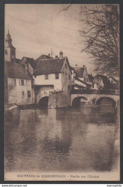 DIEMERINGEN - 67 - BAS RHIN / 1931 PARTIE SUR L'EICHEL - CP VOYAGEE